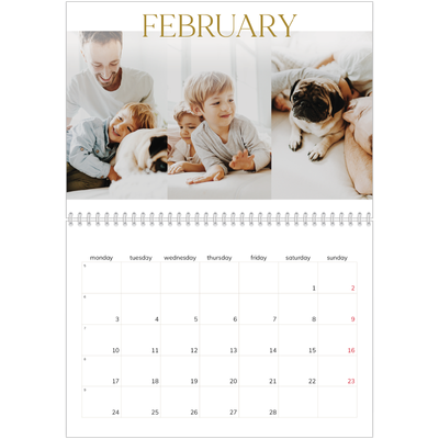 A4 Double Photo Calendar — Big gold text [February]