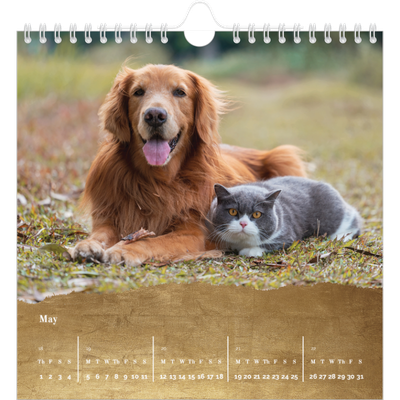 Square calendars  — Classic Gold [cover]