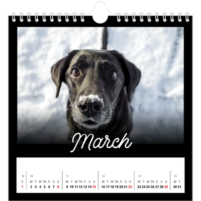 Square calendars  — Black minimal [March]