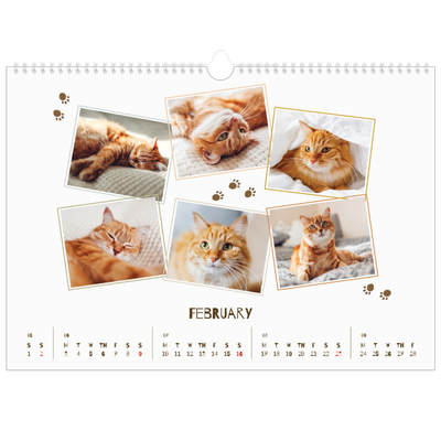 A3 Photo Calendar — Playful kitten [February]