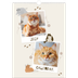 A3 photo calendars — Playful kitten [cover]