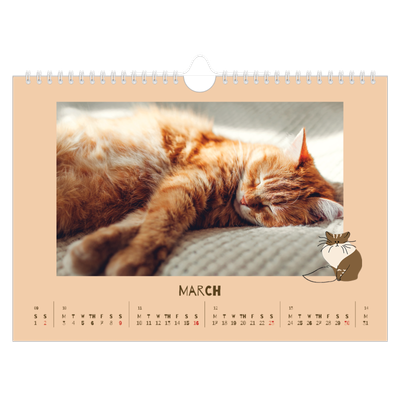 A4 Landscape Photo Calendar — Playful kitten [March]