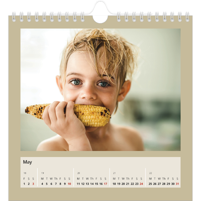 Square calendars  — Earth colours [cover]