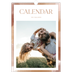 A3 photo calendars — Paintbrush effect [cover]