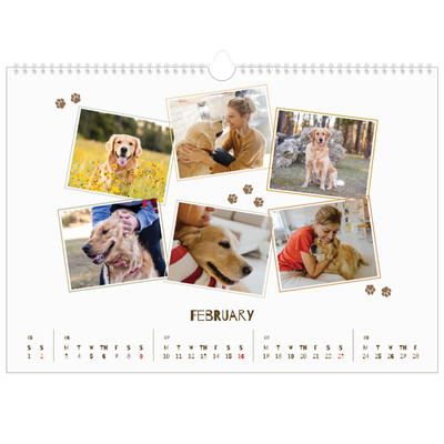 A3 Photo Calendar — Playful puppy [February]