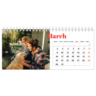 Desk calendars — A bold year [March]