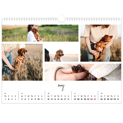 A3 Photo Calendar — Photo arrangements [cover]