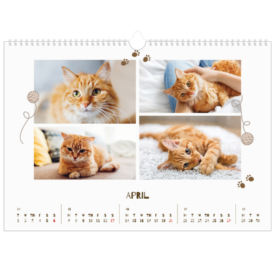 A3 Photo Calendar — Playful kitten [April]