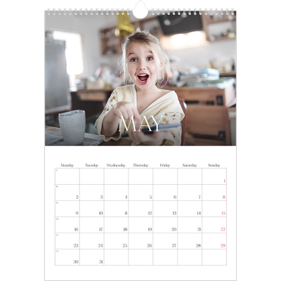 A3 photo calendars — Twelve big months [cover]