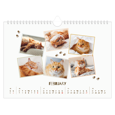 A4 Landscape Photo Calendar — Playful kitten [February]