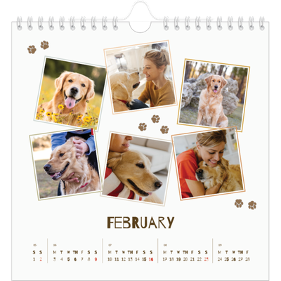 Square calendars  — Playful puppy [February]