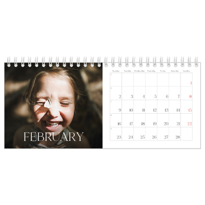 Desk calendars — Twelve big months [February]