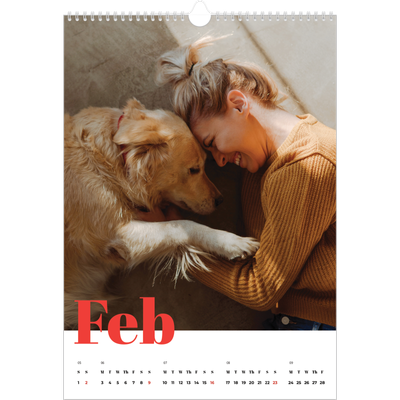 A3 photo calendars — A bold year [February]