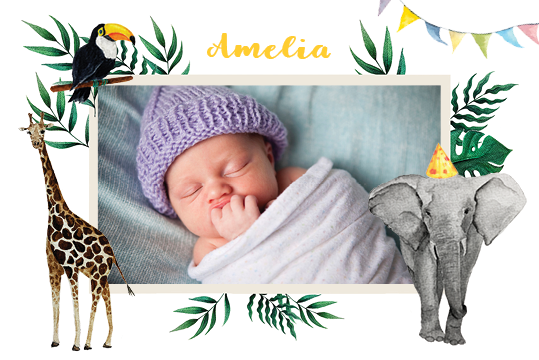 Invitations — Watercolour animals