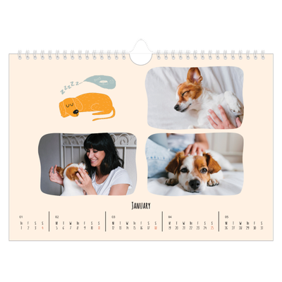 A4 Landscape Photo Calendar — Dog paws and doodles [January]