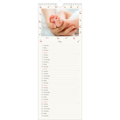 Slim Calendar  — Cherry bliss [cover]