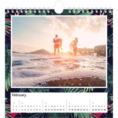 Square calendars  — Vivid plant life [February]