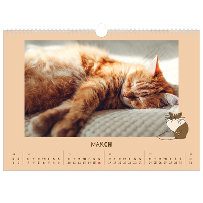 A3 Photo Calendar — Playful kitten [March]