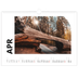 A3 Photo Calendar — White space [April]