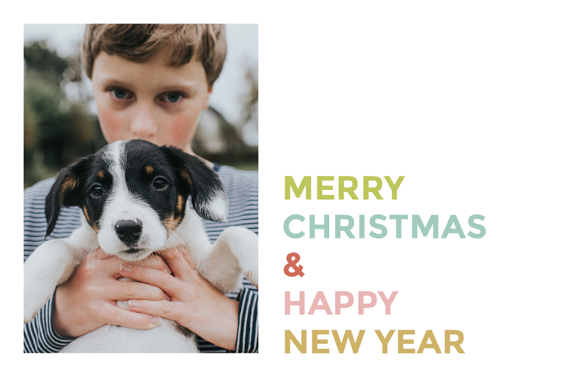 Cards — Colourful type