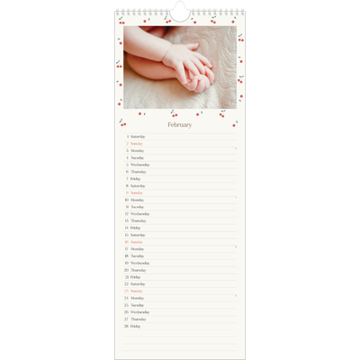 Slim Calendar  — Cherry bliss [February]