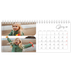 Desk calendars — Snapshots and script [January]