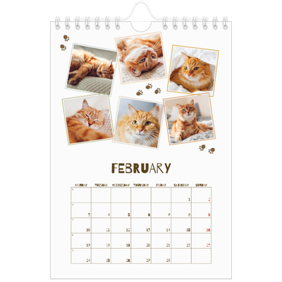 A5 Photo Calendar — Playful kitten [February]