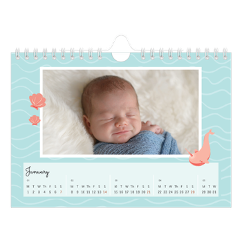 A5 Landscape Photo Calendar — Cute animals
