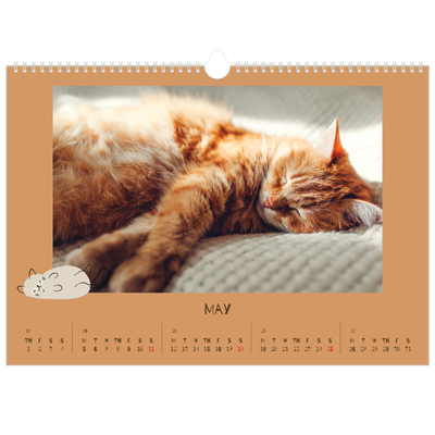 A3 Photo Calendar — Playful kitten [cover]