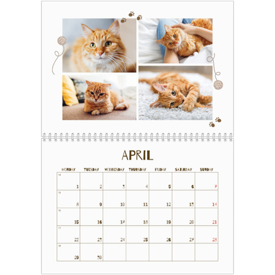 A4 Double Photo Calendar — Playful kitten [April]