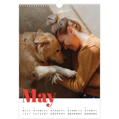 A3 photo calendars — A bold year [cover]