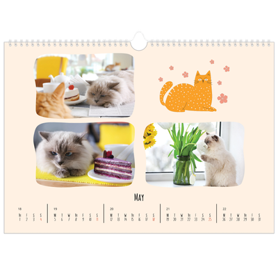 A3 Photo Calendar — Cat paws and doodles [cover]