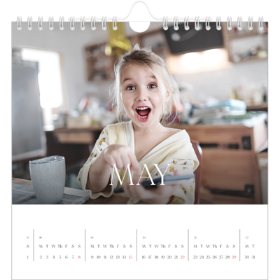 Square calendars  — Twelve big months [cover]