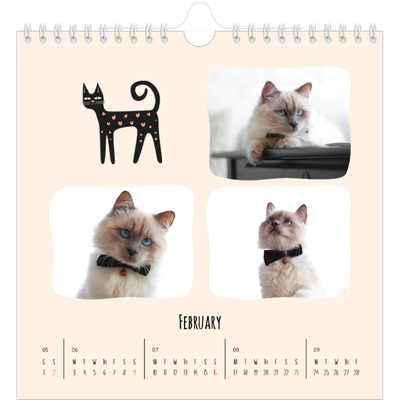 Square calendars  — Cat paws and doodles [February]