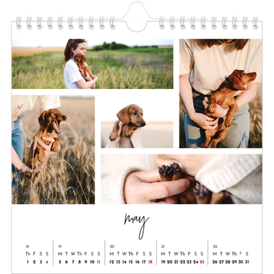 Square calendars  — Photo arrangements [cover]