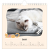 Square calendars  — Cat paws and doodles [January]