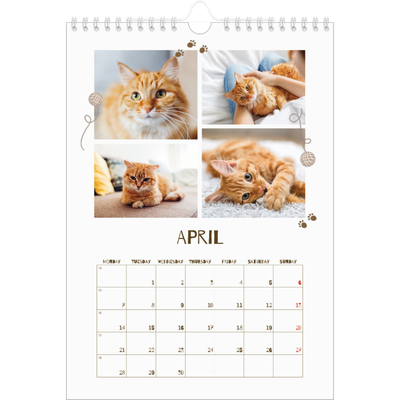A4 Photo Calendar — Playful kitten [April]