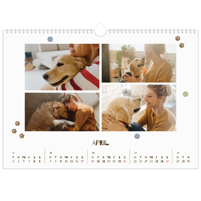 A3 Photo Calendar — Playful puppy [April]