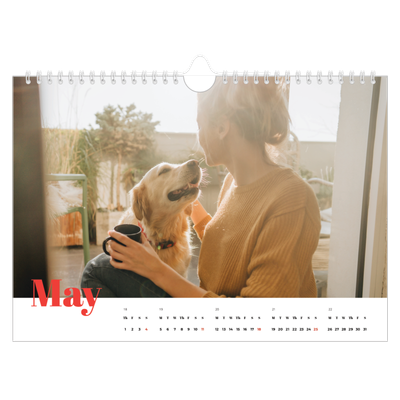 A4 Landscape Photo Calendar — A bold year [cover]